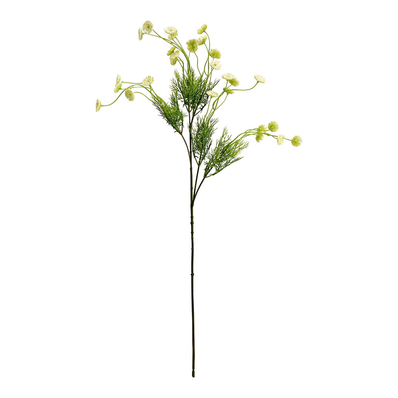 Kunstblume Dill aus Kunststoff, Grün (H) 60cm
